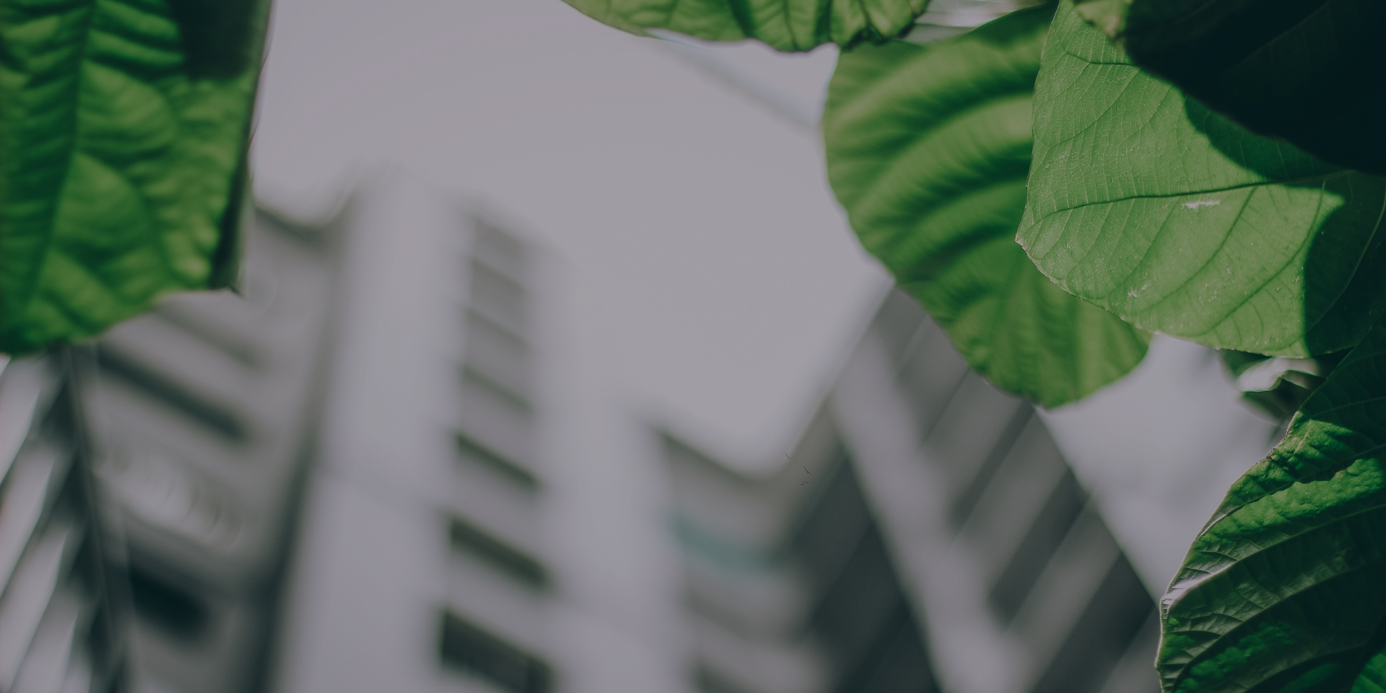 esg-solutions